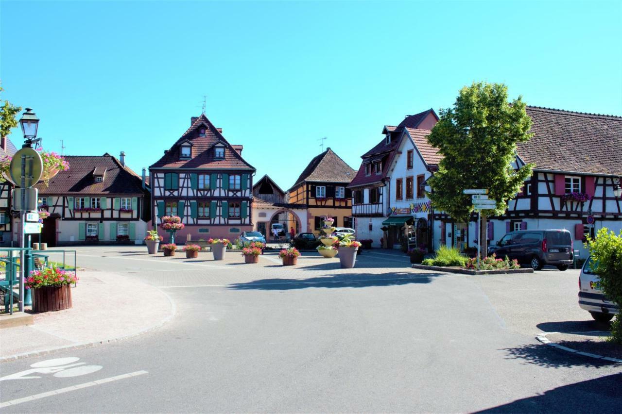 شقة La Halte Des Vignes - Route Des Vins D'Alsace Scherwiller المظهر الخارجي الصورة