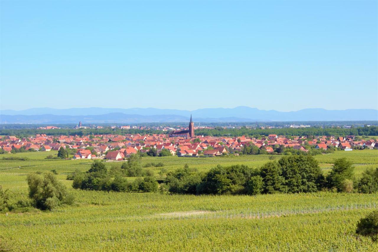 شقة La Halte Des Vignes - Route Des Vins D'Alsace Scherwiller المظهر الخارجي الصورة