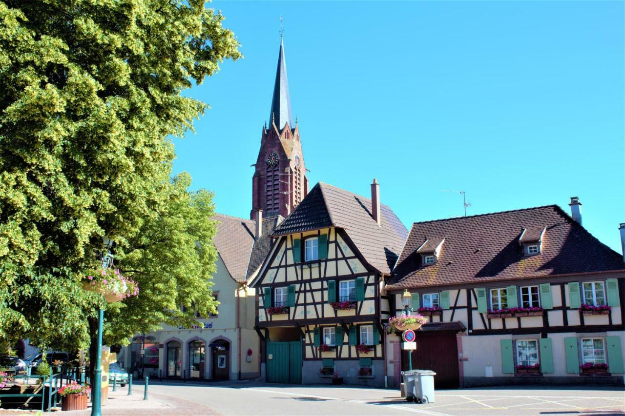 شقة La Halte Des Vignes - Route Des Vins D'Alsace Scherwiller المظهر الخارجي الصورة